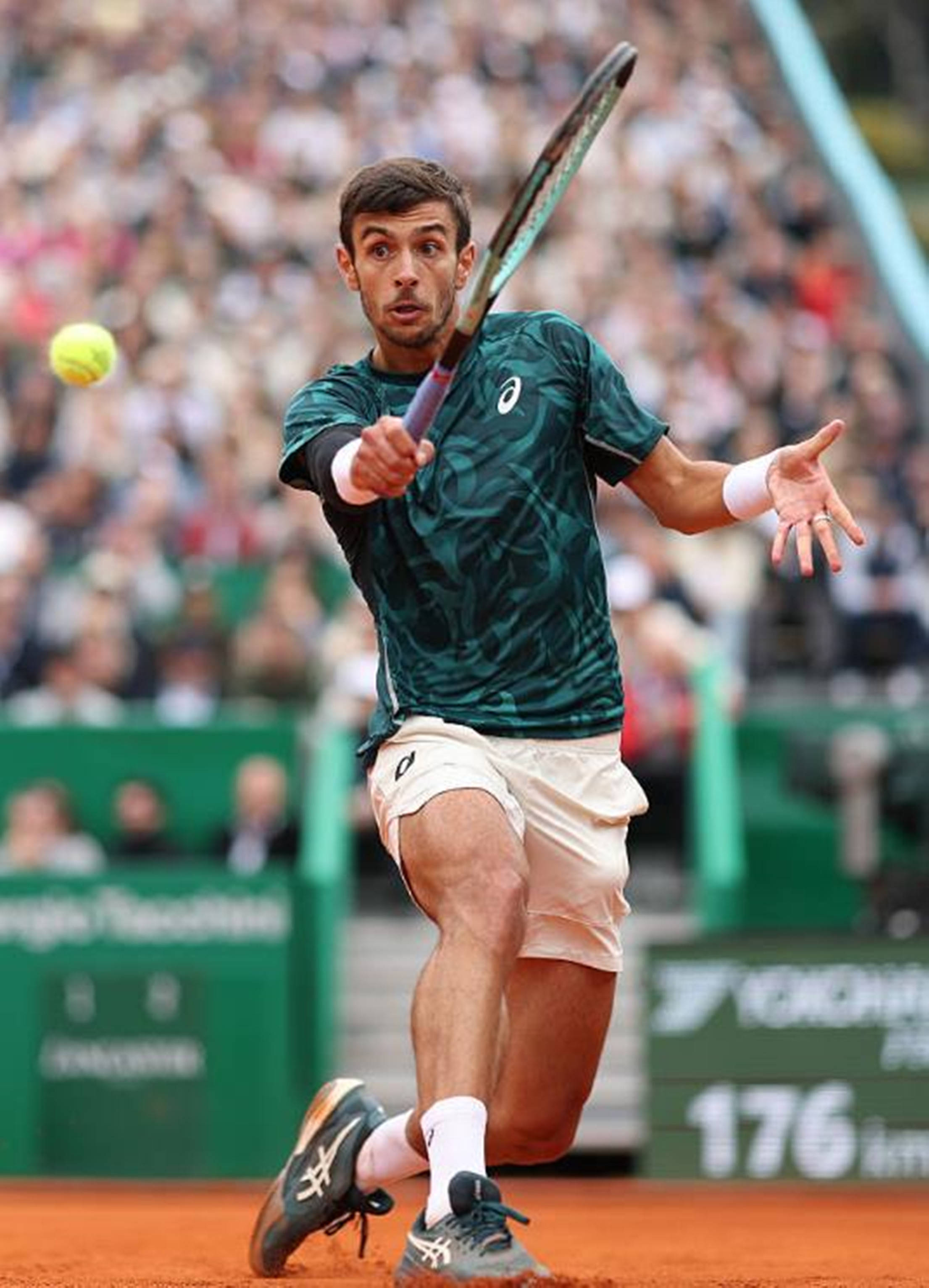 分别为81 分别为81