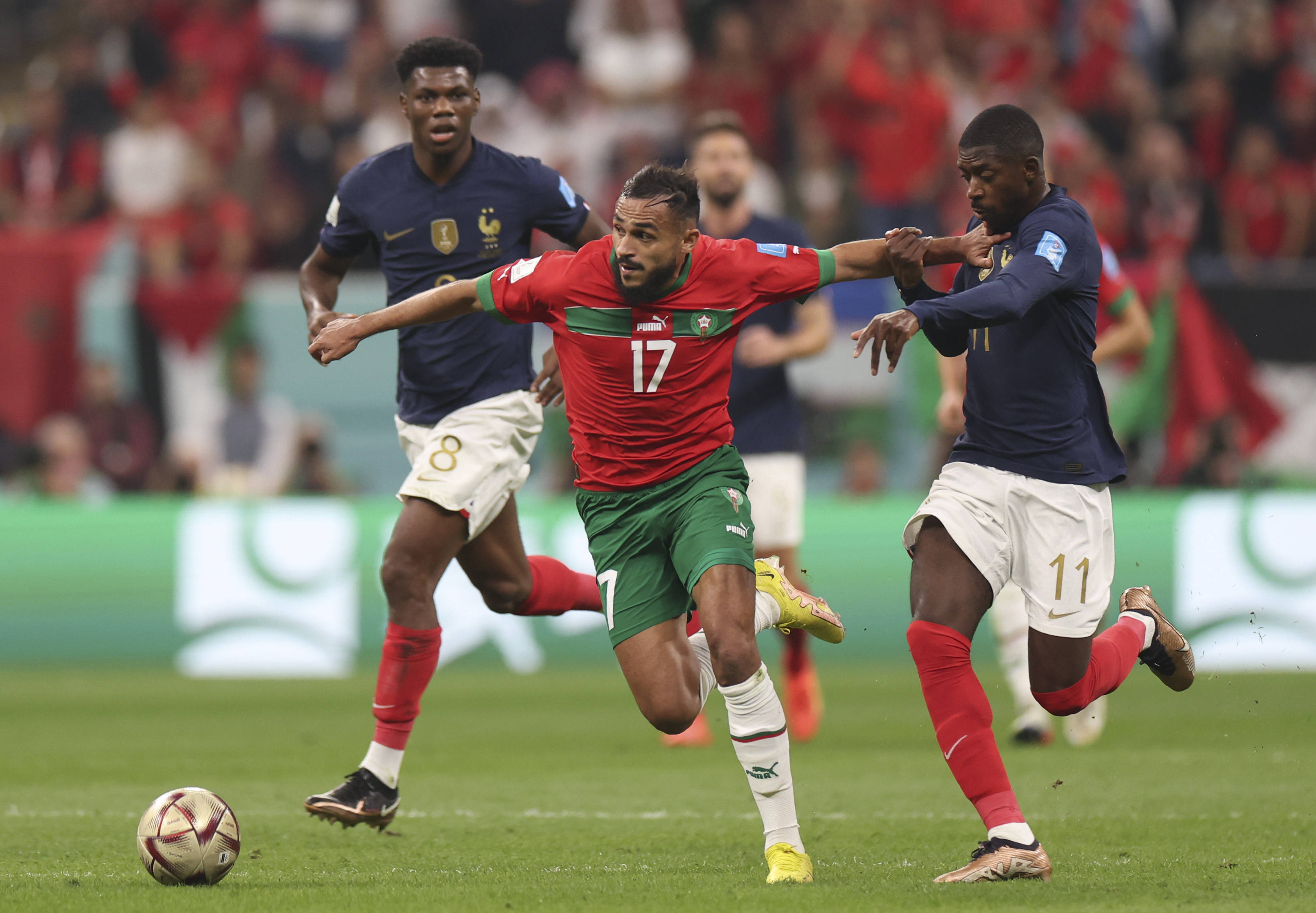 仅改变了他 仅改变了他