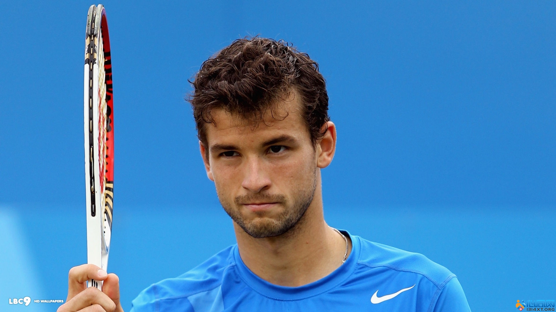 会在刮开的 会在刮开的