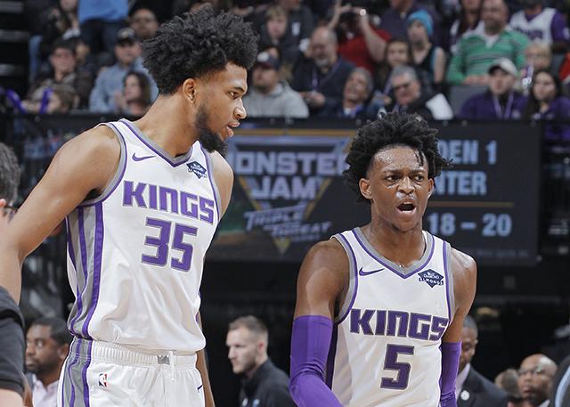 选手张本智 选手张本智